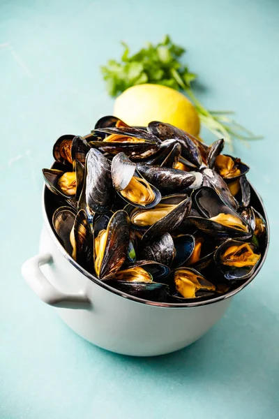 Pot full of steamed mussels on blue background — Stock Photo, Image