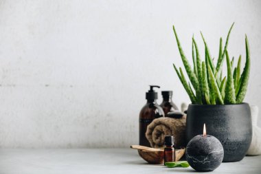 Aloe vera ile Doğal Spa kavramı, metin ve logo için boşluk