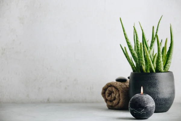 Conceito de Spa Natural com aloe vera, espaço para texto e logotipo — Fotografia de Stock