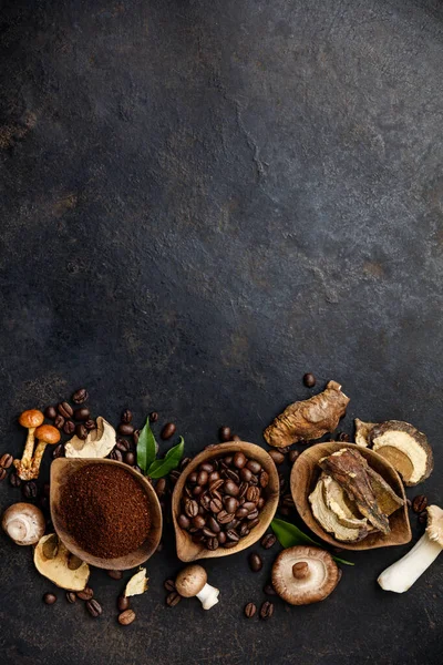 Champiñones Chaga Café Superfood Tendencia-seco y champiñones frescos an —  Fotos de Stock