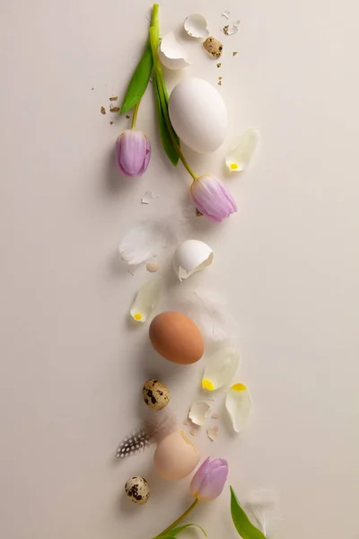 Fond floral de Pâques, divers oeufs extrémité coquille d'oeuf et tulipes — Photo