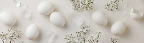 Easter concept. Eggs and flowers on white background — Stock Photo, Image