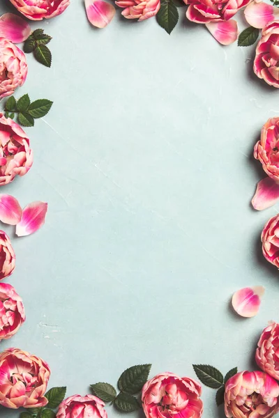 푸른 샤 비 무늬의 배경에 있는 아름다운 분홍 튤립 의국 경 — 스톡 사진