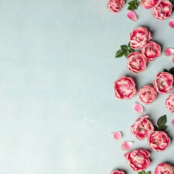 Płaskie leżak dekoracyjna granica różowe tulipany i zielone liście na niebieskim tle — Zdjęcie stockowe