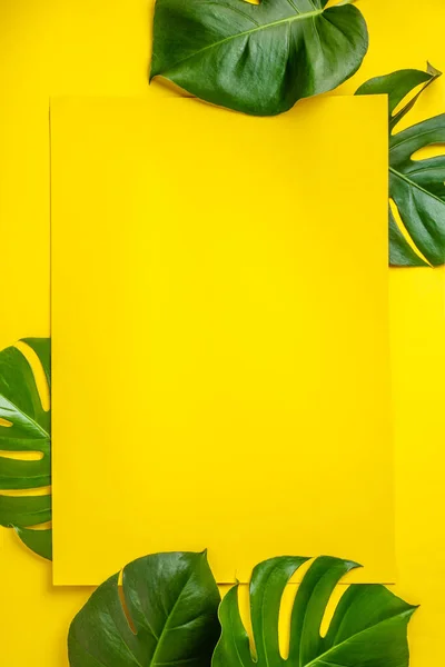 Tropical deja Monstera sobre fondo amarillo. Puesta plana —  Fotos de Stock