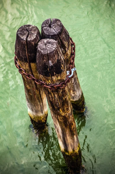 Pólos velhos na água . — Fotografia de Stock