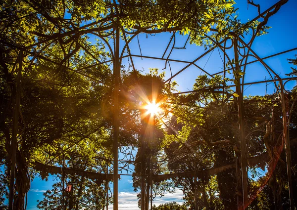 Costruzione vintage nel bellissimo parco veneziano verde . — Foto Stock