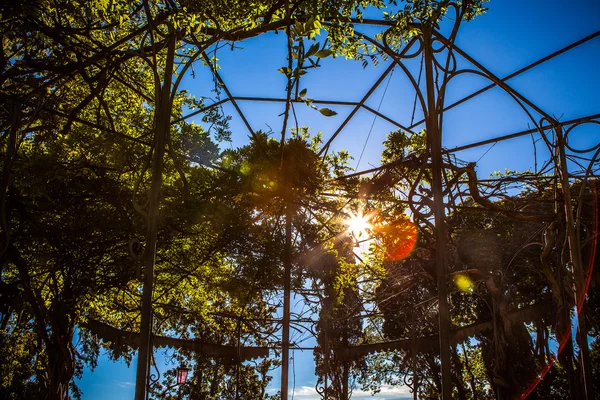 緑の美しいベネチアン公園でビンテージ建設. — ストック写真