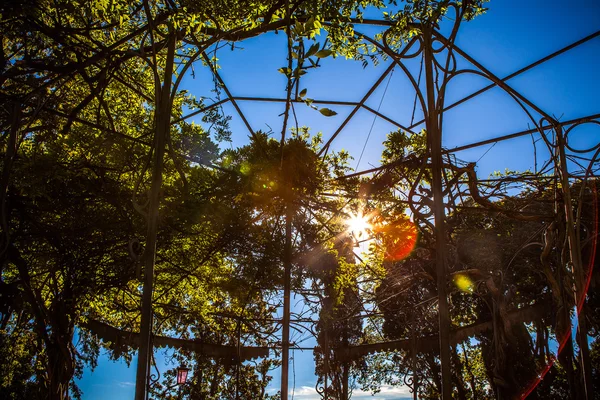 Construção vintage no belo parque verde veneziano . — Fotografia de Stock