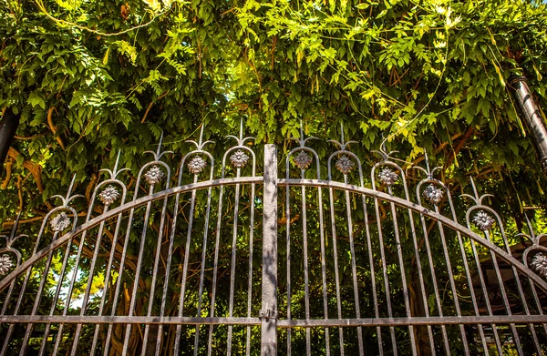 Ancient metal italienska Gate med trädgård vegetation. — Stockfoto