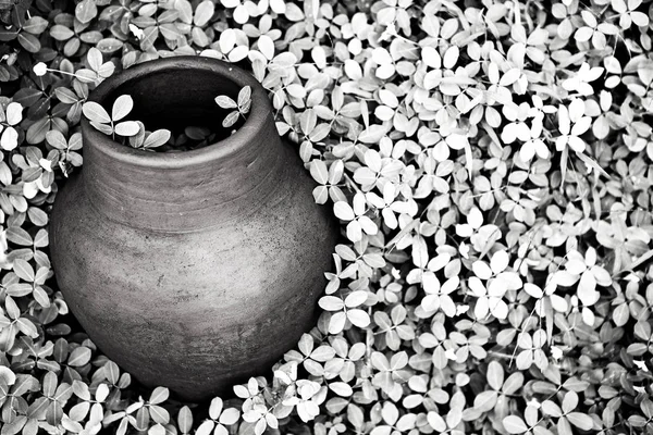 Old jar covered vegetation. — Stock Photo, Image