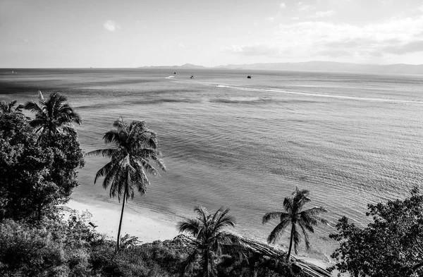 Tropickém ostrově. — Stock fotografie