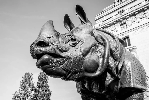 Paris, Francja - 02 września 2015: zdjęcie nosorożec posąg przed Muzeum D'Orsay w Paryżu. — Zdjęcie stockowe