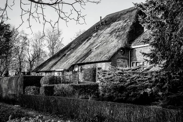 Giethoorn, Ολλανδία - 20 Ιανουαρίου 2016: Ασπρόμαυρη φωτογραφία των παλαιών άνετο σπίτι με αχυρένια σκεπή στις 20 Ιανουαρίου 2016 στο Giethoorn, Ολλανδία.. — Φωτογραφία Αρχείου
