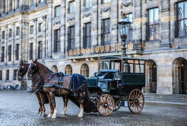 AMESTERDÃO, PAÍSES BAIXOS - DEZEMBRO 17, 2017: Transporte com cavalos na praça central de Amsterdã. em 17 de dezembro de 2016 em Amsterdã - Holanda . — Fotografia de Stock