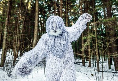 Kış orman yeti masal karakteri. Açık fantezi fotoğraf.