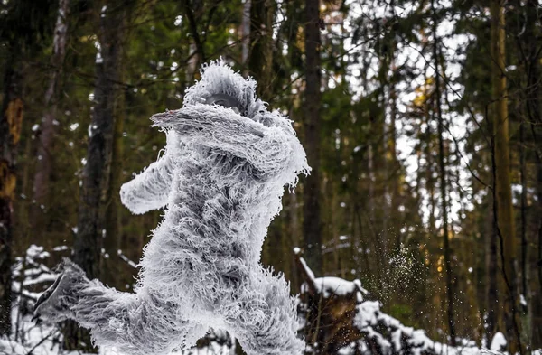 Yeti pohádky postava v zimním lese. Venkovní fantazie Foto. — Stock fotografie