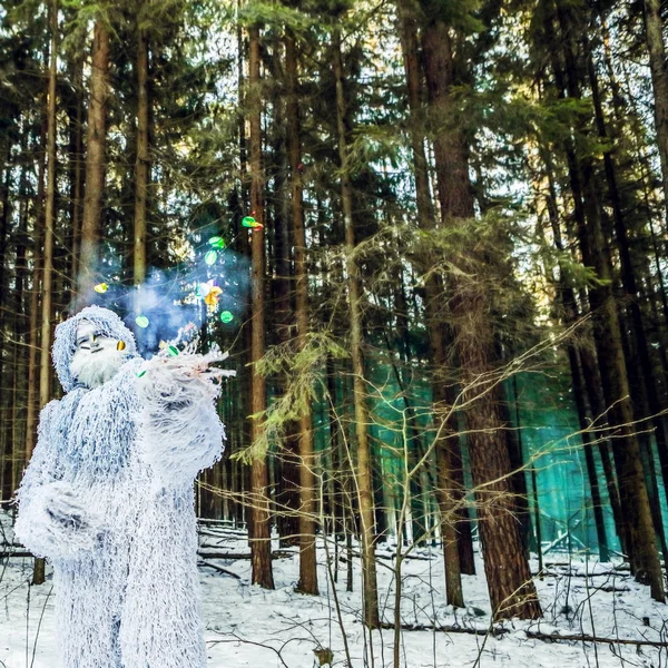 Героїня казки Єті в зимовому лісі. На відкритому повітрі фентезі фото . — стокове фото