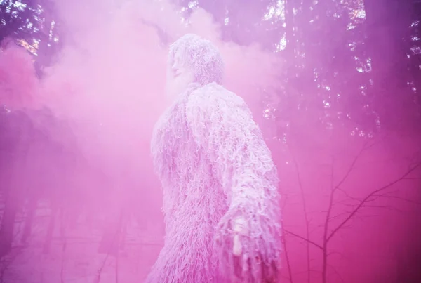 Yeti-Märchenfigur im Winterwald. Fantasiefoto im Freien. — Stockfoto