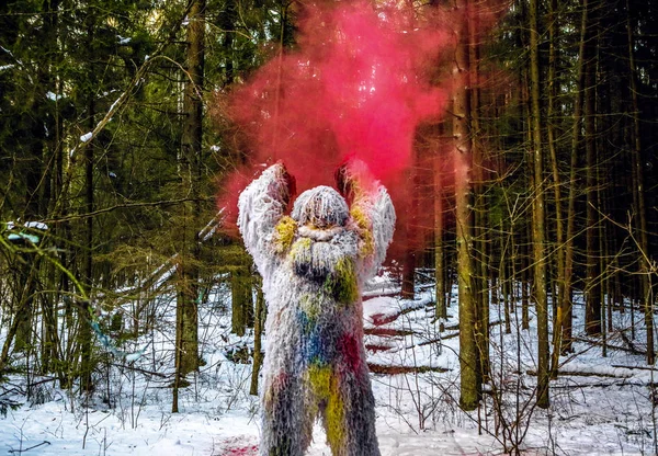 Yeti personaggio fiaba nella foresta invernale. Foto fantasia all'aperto . — Foto Stock