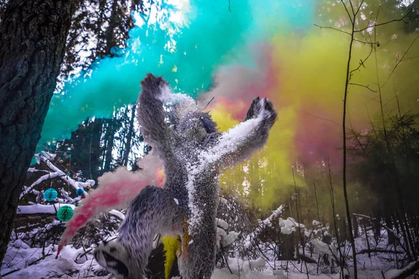 Yeti pohádky postava v zimním lese. Venkovní fantazie Foto. — Stock fotografie