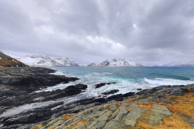 Akşam zaman soğuk Norveç Denizi kıyısında su hareketi. Lofoten Adaları. Güzel Norveç manzara. 