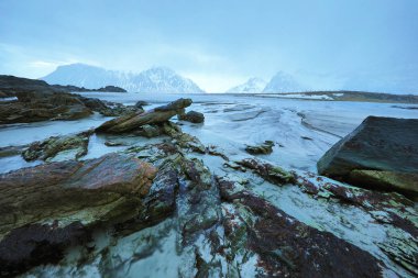 Akşam zaman soğuk Norveç Denizi kıyısında antik taşlar. Lofoten Adaları. Güzel Norveç manzara.