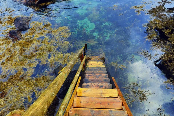 Gamla trätrappa i det klara vattnet i floden. — Stockfoto