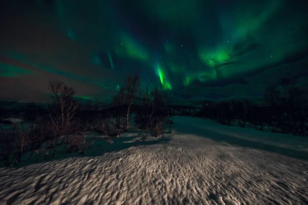 Csodálatos tarka Aurora Borealis is ismert északi fény az éjszakai égen át Lofoten táj, Norvégia, Scandinavia. Elmosódott háttér absztrakt természet. — Stock Fotó