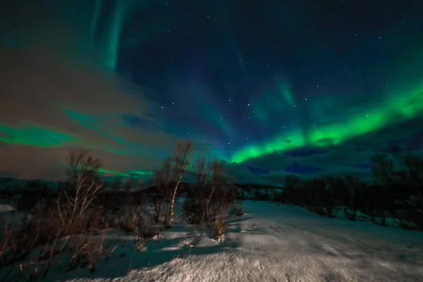 Amazing veelkleurige Aurora Borealis ook bekend als de Northern Lights in de nachtelijke hemel over Lofoten landschap, Noorwegen, Scandinavië. Als abstracte aard achtergrond wazig. — Stockfoto