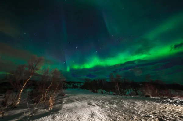 Úžasné barevné polární záře také vědět, jak na šířku polární záře na noční obloze nad Lofoty, Norsko, Skandinávie. Rozmazané pozadí abstraktní příroda. — Stock fotografie