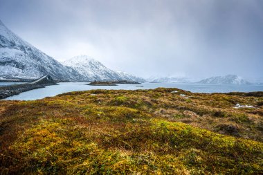 Lofoten Adaları. Güzel Norveç bahar manzara.