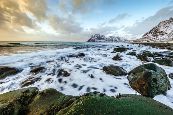 저녁 시간에 찬 노르웨이 바다의 기슭에 물의 움직임. Lofoten 섬입니다. 아름 다운 노르웨이 풍경. — 스톡 사진