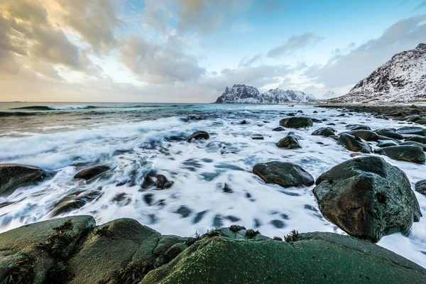 夜の時間に冷たいノルウェー海のほとりに古代の石。ロフォーテン諸島。美しいノルウェーの風景. — ストック写真