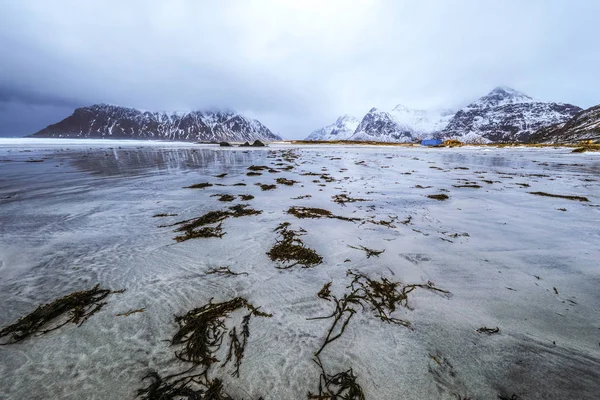 Lofoty. Piękny krajobraz wiosna Norwegia. — Zdjęcie stockowe