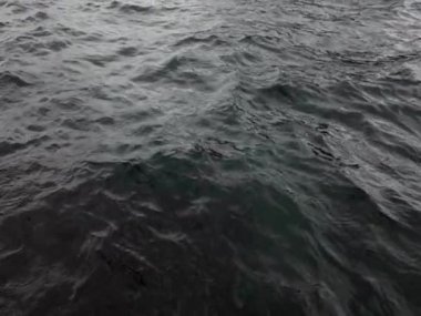 Akşam zaman soğuk Norveç Denizi kıyısında su hareketi. Lofoten Adaları. Güzel Norveç manzara. HD ayak. 