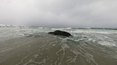 Akşam zaman soğuk Norveç Denizi kıyısında su hareketi. Lofoten Adaları. Güzel Norveç manzara. HD ayak. 