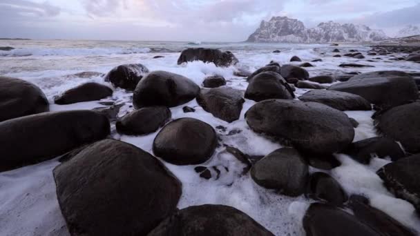 저녁 시간에 찬 노르웨이 바다의 기슭에의 고 대 돌 Lofoten 섬입니다. 아름 다운 노르웨이 풍경입니다. Hd 영상. — 비디오