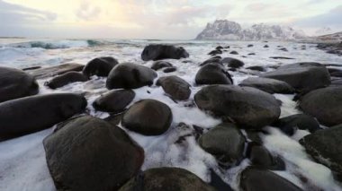 Akşam zaman soğuk Norveç Denizi kıyısında antik taşlar. Lofoten Adaları. Güzel Norveç manzara. HD ayak.