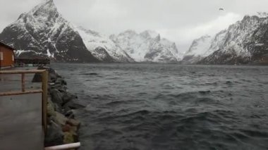 Akşam zaman soğuk Norveç Denizi kıyısında su hareketi. Lofoten Adaları. Güzel Norveç manzara. HD ayak. 