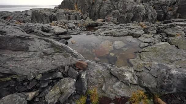 Oude stenen aan de oevers van de koude Noorse zee op moment van de avond. Lofoten eilanden. Mooi landschap van Noorwegen. HD-beelden. — Stockvideo