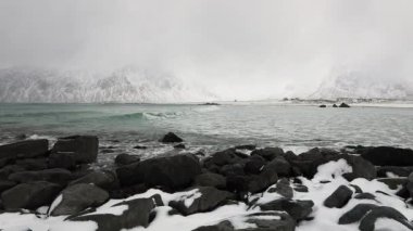 Lofoten Adaları. Güzel Norveç bahar manzara. HD ayak.