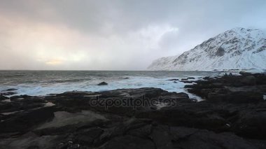 Lofoten Adaları. Güzel Norveç bahar manzara. HD ayak.