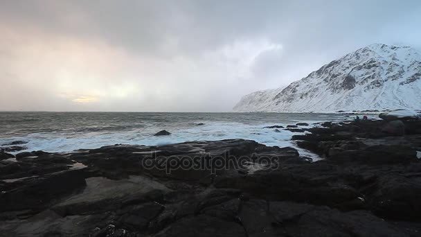 Les îles Lofoten. Beau paysage printanier norvégien. Vidéo HD . — Video