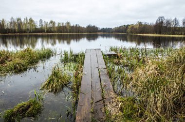 Pitoresk bahar orman ve nehir üzerinde eski ahşap köprü.