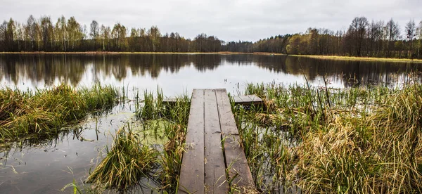 Picturesque spring forest and old wooden bridge on the river. — Stock Photo, Image