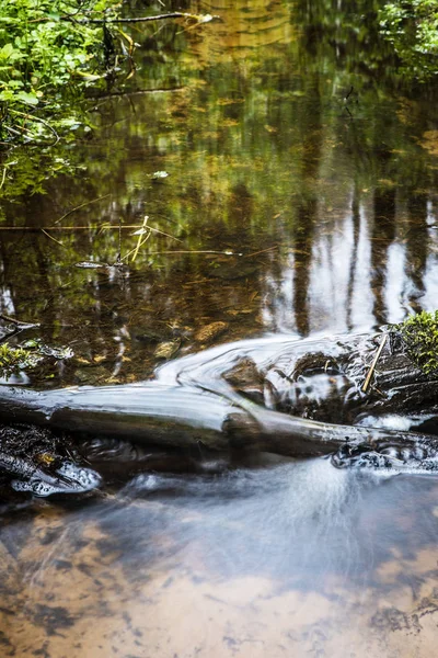 Malebné jarní les a řeka. — Stock fotografie