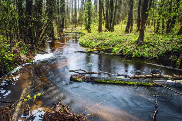 Malebné jarní les a řeka. — Stock fotografie