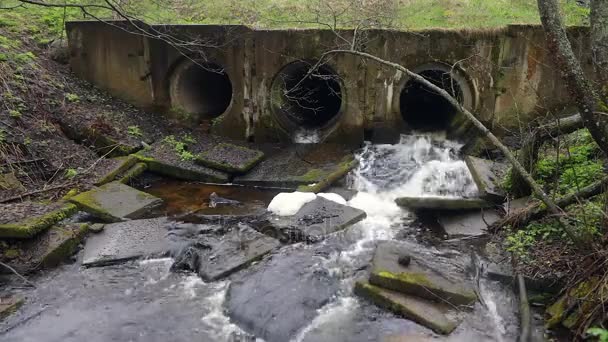 Barrage de rivière fait de tuyaux sous un pont dans une route forestière avec de l'eau courante. Vidéo HD . — Video