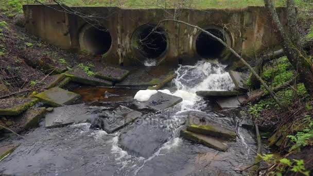 Diga del fiume fatta di tubi sotto un ponte in una strada forestale con acqua corrente. Video HD . — Video Stock